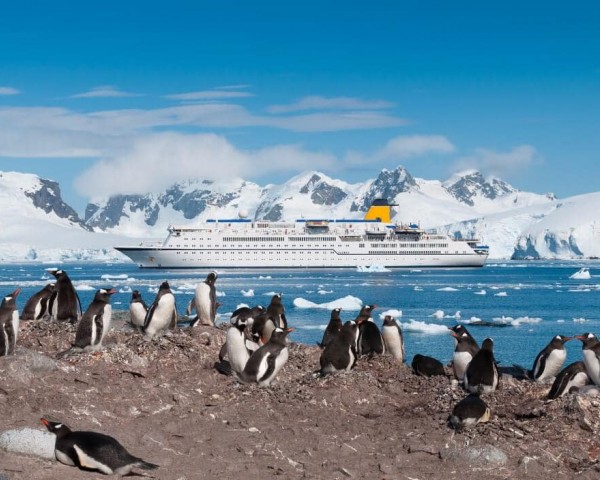 tourism-in-antarctica-endangers-the-environment
